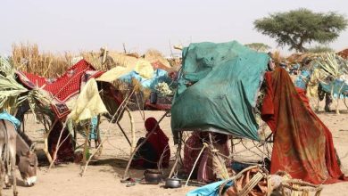 images السودان .. لاجئو دارفور في تشاد يتدافعون بحثا عن مأوى مع بدء موسم الأمطار