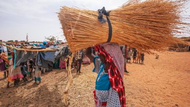 المدنيين في دارفور السودان .. بيان شديد اللهجة من بعثة الأمم المتحدة .. واتهامات للدعم السريع باستهداف المدنيين عشوائيا في دارفور