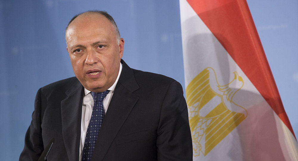 شكري وزير الخارجية المصري .. استمرار الصراع في السودان مصدر قلق لمصر ودول الجوار