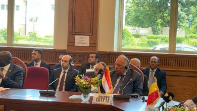 ١٢١٧٢٩ وزير الخارجية المصري أمام اجتماع دول جوار السودان : لسنا هنا لفرض حلول أو أوضاع على أي طرف