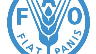 IMG ٢٠٢٣٠٩٢٤ ١٢٥٠٣٧ « فاو » تختار مصر لإطلاق برنامج الصحة النباتية الأفريقي