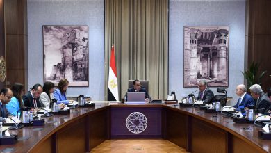 SLM 5738 مصر .. رئيس الوزراء يستعرض مشروع إقامة مجمع صناعي متكامل لإنتاج مُسطحات الصلب