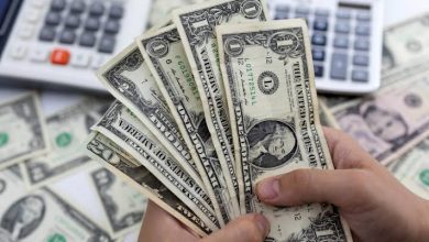 مصر .. مفاجأة في أسعار الدولار واليورو والإسترليني في البنوك في بداية التعاملات الأسبوعية  5 images 5 مصر .. مفاجأة في أسعار الدولار واليورو والإسترليني في البنوك في بداية التعاملات الأسبوعية