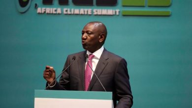 الكيني في افتتاح قمة المناخ الإمارات تتعهد باستثمار 4.5 مليار دولار في الطاقة النظيفة في أفريقيا 