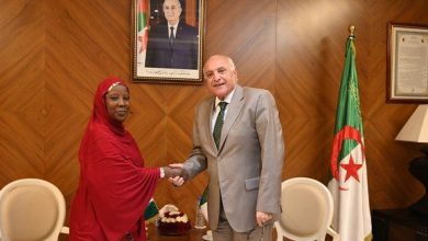 وزير الخارجية الجزائري خلال لقاءه بسفيرة نيجيريا الجزائر: نرغب في تعزيز فرص الحل السياسي السلمي للأزمة في النيجر