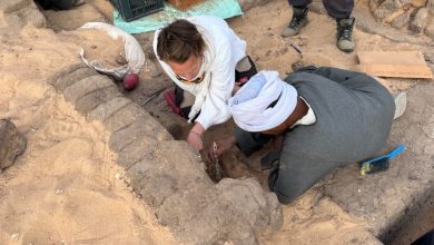 مصر .. الإعلان عن تفاصيل كشف أثري جديد مثير 6 Screenshot ٢٠٢٣ ١٠ ٠١ ١٢ ١٥ ٢٢ ٩٤ 99c04817c0de5652397fc8b56c3b3817 مصر .. الإعلان عن تفاصيل كشف أثري جديد مثير