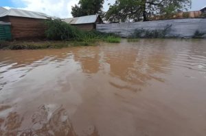 401508572 809639281202680 5720926778015010788 n الصومال.. الفيضانات نهري جوبا وشبيلي تتسبب في نزوح 80% من سكان بعض المناطق
