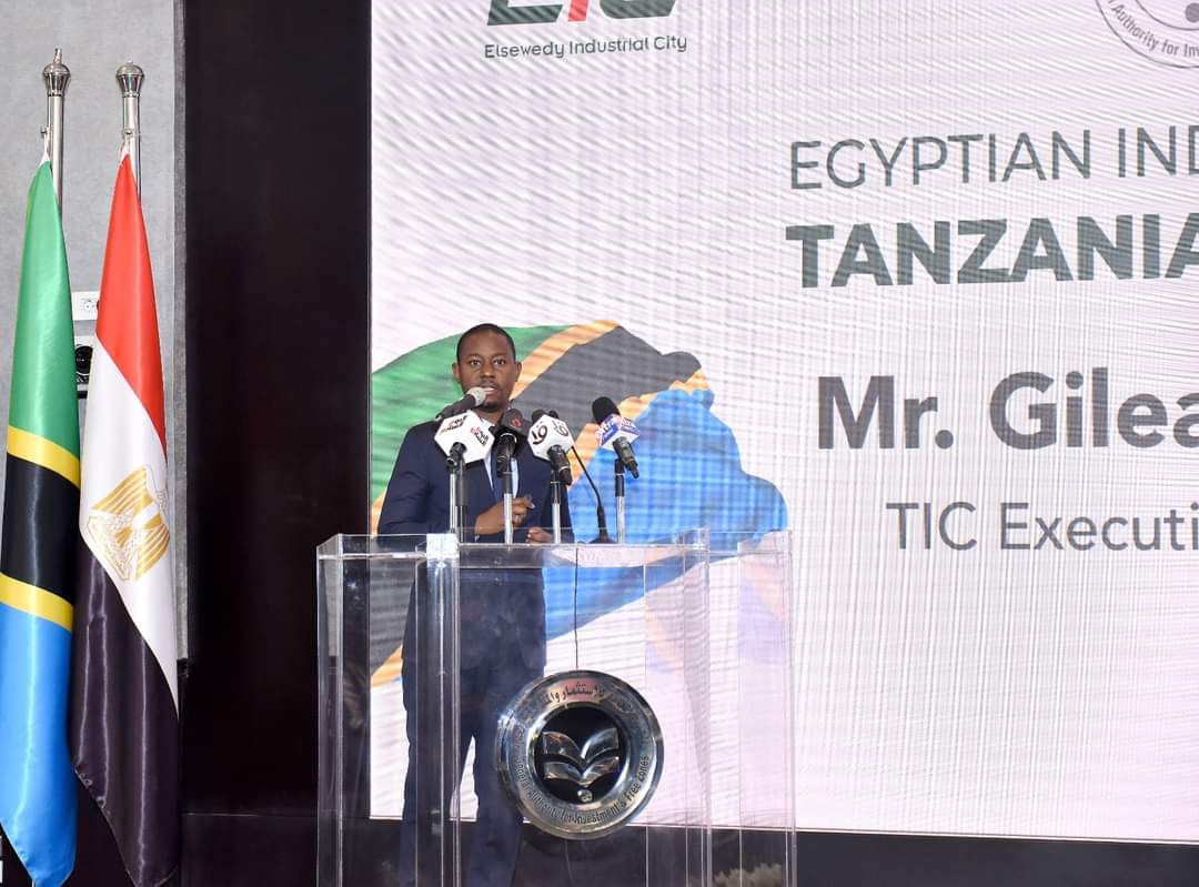 FB IMG 1699197418639 انطلاق "منتدى الاستثمار الأفريقي – صناعات مصرية على أراض تنزانية"