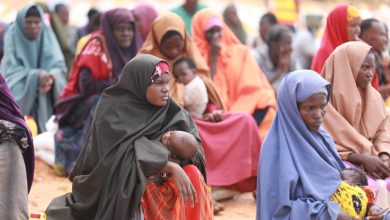 غينيا بيساو.. الأمم المتحدة تدعو لحماية سيادة القانون واستقلال القضاء في البلاد 2 IMG 20231128 WA0027 1536x1024 1 غينيا بيساو.. الأمم المتحدة تدعو لحماية سيادة القانون واستقلال القضاء في البلاد