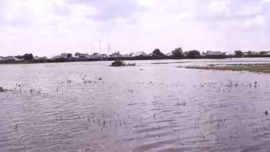 الصومال.. الفيضانات نهري جوبا وشبيلي تتسبب في نزوح 80% من سكان بعض المناطق 9 SHABEELLE الصومال.. الفيضانات نهري جوبا وشبيلي تتسبب في نزوح 80% من سكان بعض المناطق