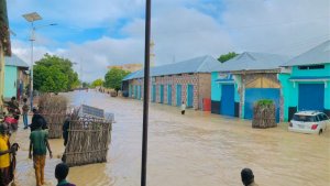 Untitled design 35 الصومال.. الفيضانات نهري جوبا وشبيلي تتسبب في نزوح 80% من سكان بعض المناطق