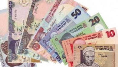 عملة نيجيريا نيجيريا .. " النيرة " تهبط لأدنى مستوى أمام الدولار الأمريكي