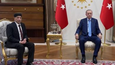 ليبيا ..أردوغان يستقبل عقيلة صالح في انقرة 6 297175 ليبيا ..أردوغان يستقبل عقيلة صالح في انقرة