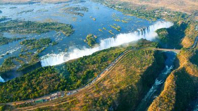 Copy of Victoria Falls 768x512 1 شلالات فيكتوريا تطلق بوابة مخصصة لها كوجهة سياحية