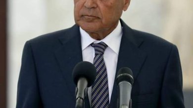 أبو الغيط : قرار مجلس الأمن جاء متأخراً..ووقف إطلاق النار بغزة ما زال هو الهدف 2 IMG ٢٠٢٣١٢٢٣ ١٠٤٩٢٢ أبو الغيط : قرار مجلس الأمن جاء متأخراً..ووقف إطلاق النار بغزة ما زال هو الهدف