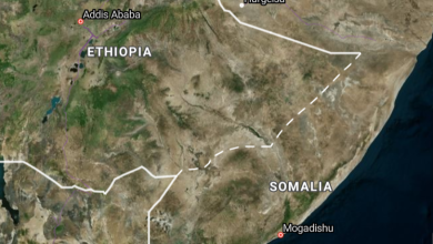 somalia 390x220 1 الصومال توقع رسمياً على الانضمام لمجموعة شرق أفريقيا