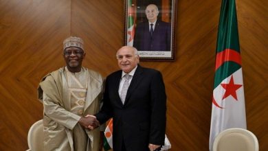 خارجية الجزائر والنيجر الجزائر والنيجر يبحثان علاقات التعاون الثنائي وتطورات الوضع في الساحل