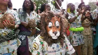 كأس الأمم الأفريقية : حيوانات ضارية وجوارح فتاكة أسماء شهرة المنتخبات المشاركة 17 5dc9b98edc572d75e26341dba8b08106c3871232 كأس الأمم الأفريقية : حيوانات ضارية وجوارح فتاكة أسماء شهرة المنتخبات المشاركة