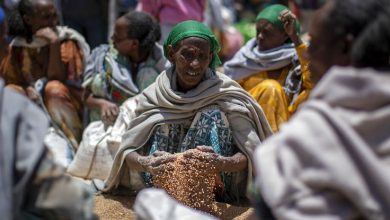 738x415 cmsv2 cede7024 0ece 5c15 bbce 75d659c3adce 6778206 إثيوبيا: وفاة 400 شخص من الجوع في تيجراي وأمهرة