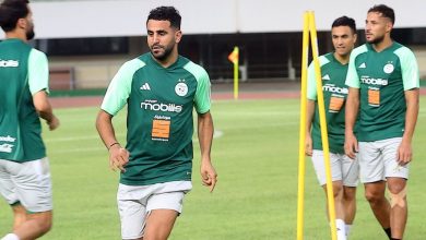 كأس إفريقيا: الجزائر تتكفل بنصف ثمن تذاكر سفر ألفي مشجع 6 IMG 20240104 WA0018 كأس إفريقيا: الجزائر تتكفل بنصف ثمن تذاكر سفر ألفي مشجع