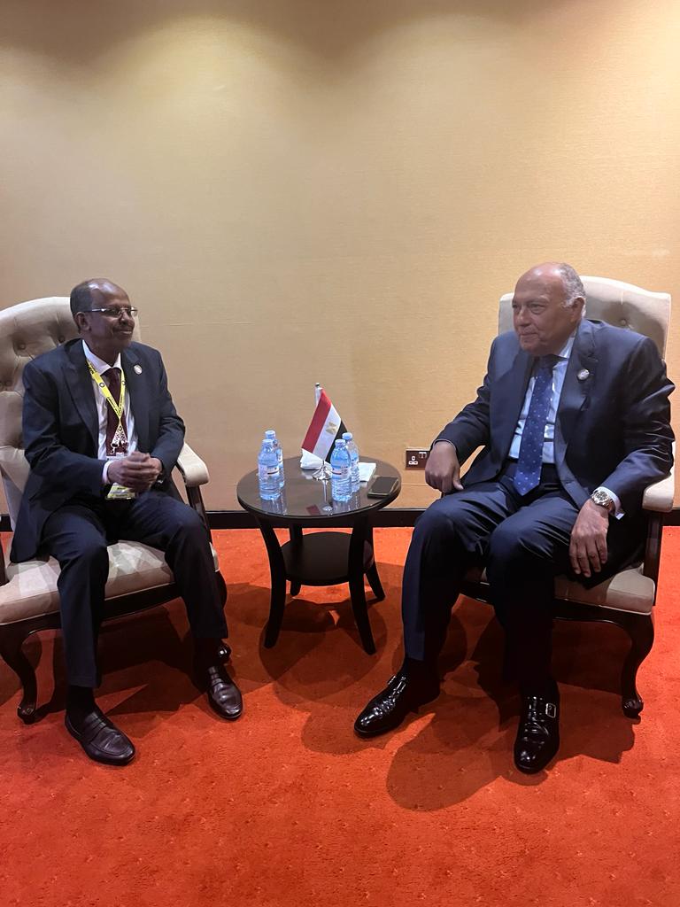 IMG 20240119 WA0010 ‎مصر وجيبوتي تؤكدان علي أهمية التوصل لوقف إطلاق النار في السودان 