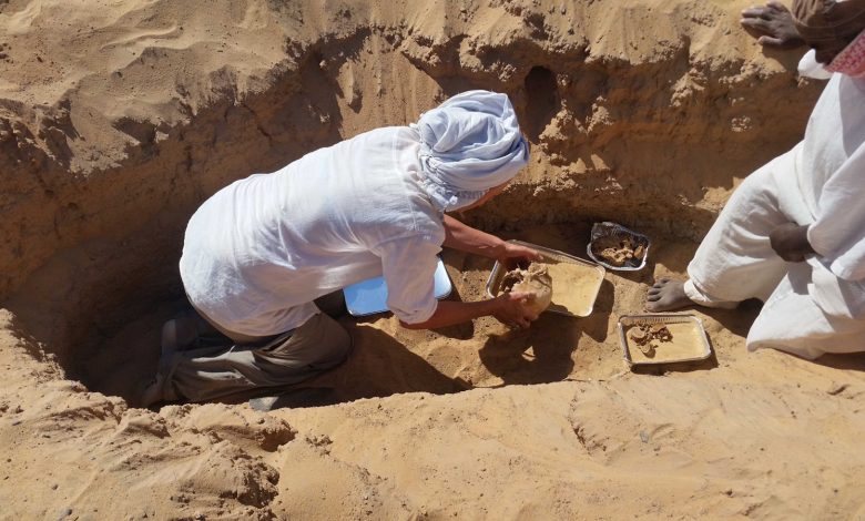 IMG 20240131 WA0001 مصر .. الكشف عن أقدم حالة التهاب المفاصل الروماتويدي في مصر القديمة