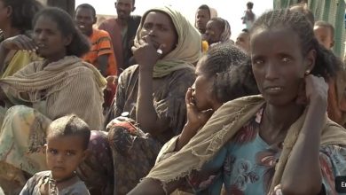 في تيجراي صحيفة إثيوبية : بعد وفاة المئات من الجوع في إثيوبيا .. الخطر يحدق بملايين آخرين