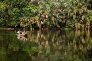 Sierra Leone Tacugama Jaibui Credit to Renato Granieri ZRG 1203 وجهات سياحية أفريقية عليك زيارتها في عام 2024