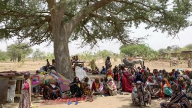 Tchad PAM 2 768x404 1 تشاد: برنامج الأغذية العالمي يحذر من توقف برامجه الإنسانية لـ 1.2 مليون لاجىء