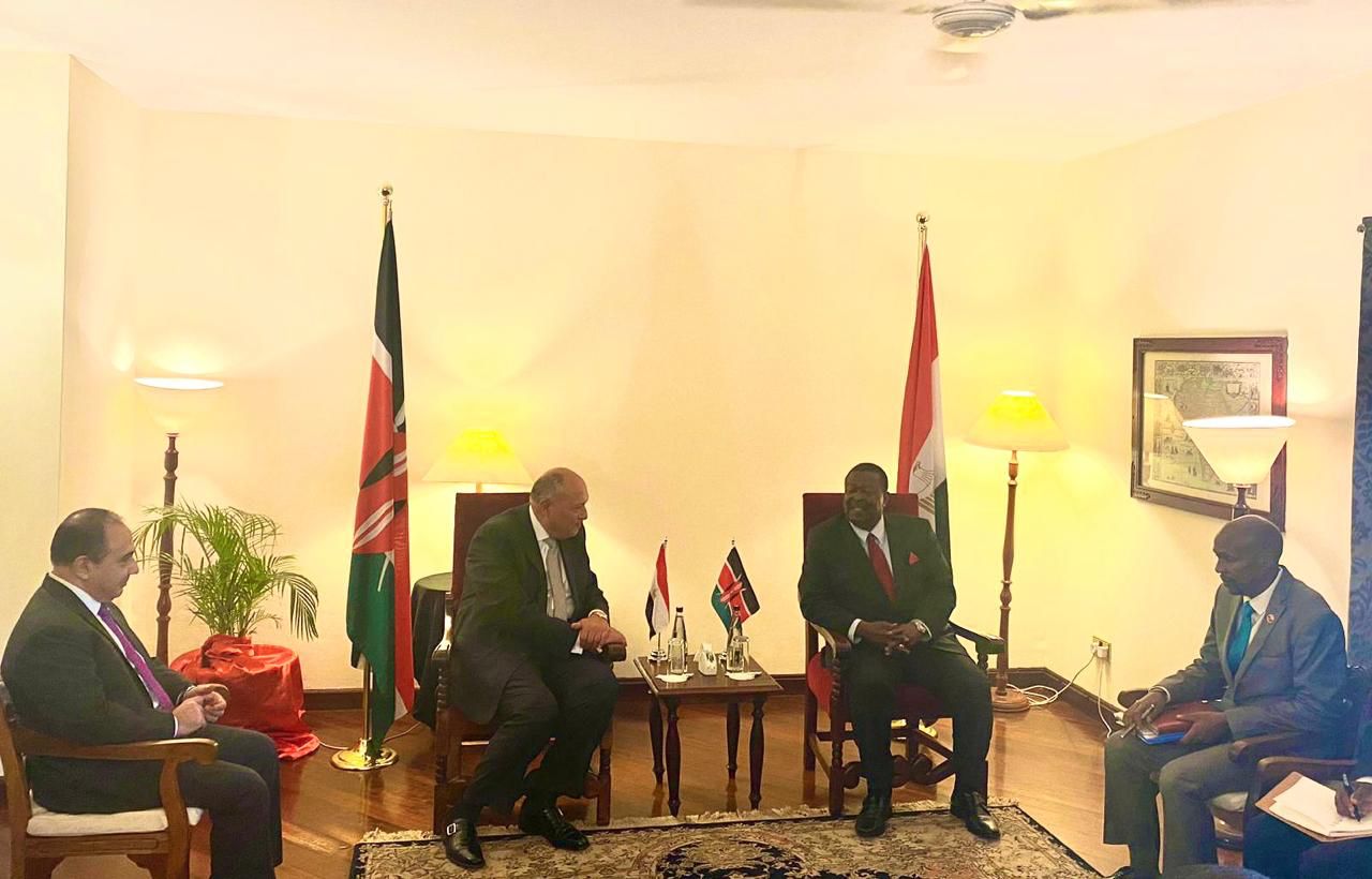 c4fb7436 bbfe 4835 89c9 797637d733ce في مستهل زيارته إلى كينيا .. وزير الخارجية المصري يلتقي مع رئيس الوزراء الكيني " تفاصيل "   