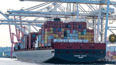 الصادرات المصرية