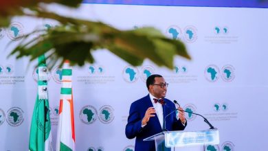 أدسينا رئيس بنك التنمية الأفريقي رواندا .. 12 مليون دولار  من "الأفريقي للتنمية" لتسريع إنشاء مؤسسة الصيدلة الافريقية