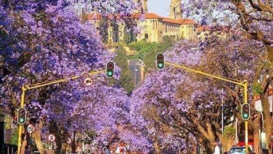 أفريقيا: أغنى 10 مدن في القارة بها أكبر عدد من المليونيرات في عام 2024 11 FB IMG 1713304118024 أفريقيا: أغنى 10 مدن في القارة بها أكبر عدد من المليونيرات في عام 2024