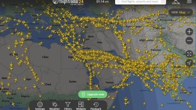 IMG 20240414 WA0001 اليوروكنترول يشيد بأداء مصر و السعودية في إدارة الحركة الجوية  خلال الظروف الاستثنائية