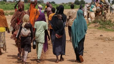 مسؤول دولي: خطر المجاعة يحوم حول السودان.. و« الفاو » : نافذة فرص متاحة الآن لمنعها  3 IMG ٢٠٢٤٠٤٢١ ١١٢٢٢٦ مسؤول دولي: خطر المجاعة يحوم حول السودان.. و« الفاو » : نافذة فرص متاحة الآن لمنعها
