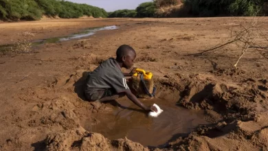 في أفريقيا مالاوي .. " الغذاء العالمي " : مليوني شخص يعانون من الآثار المدمرة للجفاف