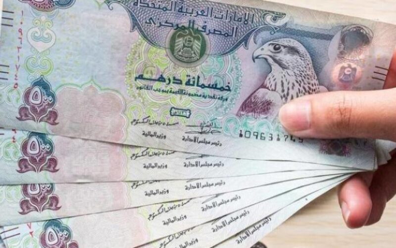 مصر : تراجع في أسعار صرف الدرهم الإماراتي في البنوك المصرية اليوم الأربعاء .. و « درهم السوق السوداء » يواصل الإنهيار 1 451267 17 800x500 1 مصر : تراجع في أسعار صرف الدرهم الإماراتي في البنوك المصرية اليوم الأربعاء .. و « درهم السوق السوداء » يواصل الإنهيار