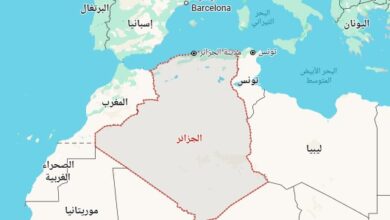 كيف حقق الاقتصاد الجزائري طفرة وأصبح الثالث في أفريقيا ؟ 4 Screenshot 2025 10 06 213732 كيف حقق الاقتصاد الجزائري طفرة وأصبح الثالث في أفريقيا ؟