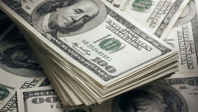 dollar مصر : استقرار سعر الدولار الأمريكي اليوم الأحد في البنوك والصرافة