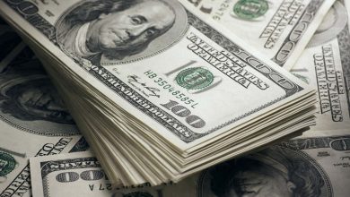 dollar مصر .. الدولار يسجل 48.30 جنيه للشراء و48.48 جنيه للبيع رسميا بالبنوك المصرية