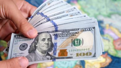 shutterstock 2023338596 1683812624175 1683812641850 مصر : استقرار سعر الدولار الأمريكي اليوم في البنوك والصرافة 