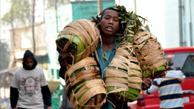 thumbs b c e428257d50f646e20d6fc538a9de15e0 وكالة الأنباء الفرنسية: تجار يشتكون من موسم سيئ لتجارة « القات » المخدر في إثيوبيا 