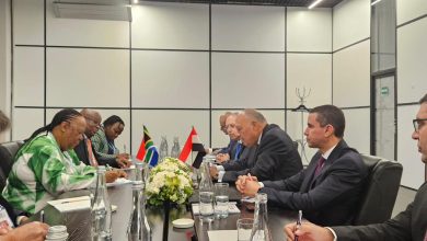 2a0f414c 7702 416d be82 543d64ea6f99 وزير الخارجية المصري يشيد بموقف جنوب أفريقيا الداعم للقضية الفلسطينية في محكمة العدل الدولية
