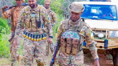 الصومال: الجيش ينفذ عملية عسكرية ويقتل 30 من حركة الشباب 2 DANAB 800x600 1 الصومال: الجيش ينفذ عملية عسكرية ويقتل 30 من حركة الشباب