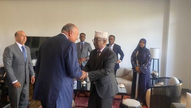 وزيرا خارجية مصر والصومال يؤكدان علي خصوصية العلاقات بين القاهرة ومقديشو  7 IMG 20240629 WA0010 وزيرا خارجية مصر والصومال يؤكدان علي خصوصية العلاقات بين القاهرة ومقديشو