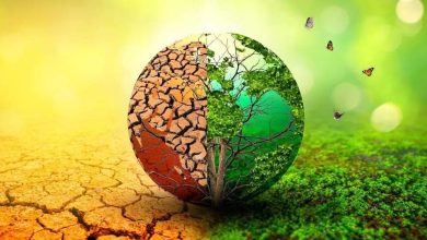 الدكتورة مني نور الدين تكتب : اليوم العالمى للبيئة ومفهوم الأمن المناخى 8 de4dc0f4 7bb2 4e4f 9fb1 dcbe2a98ec6a الدكتورة مني نور الدين تكتب : اليوم العالمى للبيئة ومفهوم الأمن المناخى