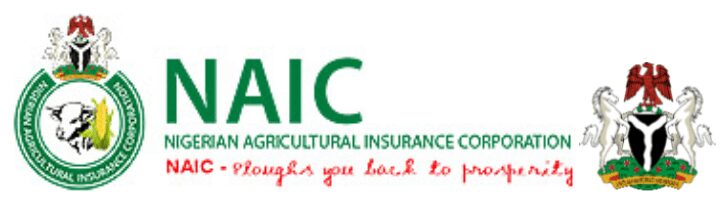 نيجيريا: وفد اماراتي يبحث التعاون في مجال التقنيات الزراعية 1 naic heads نيجيريا: وفد اماراتي يبحث التعاون في مجال التقنيات الزراعية