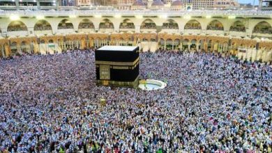 الضوابط المنظمة للحج تضمن حقوق الحجاج وراحتهم وسلامتهم  5 تعريف الحج الضوابط المنظمة للحج تضمن حقوق الحجاج وراحتهم وسلامتهم