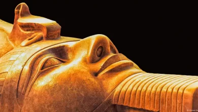 69562542 1004 "الملك رمسيس"أمير الحرب سيد مصر وحاميها يصل الي كولونيا