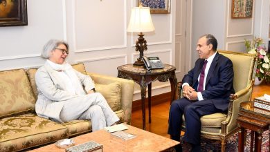 IMG 20240716 WA0003 وزير الخارجية المصري : مصر تولي أهمية كبيرة لتعزيز علاقاتها مع دول القرن الأفريقي 